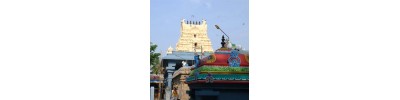 126. திருகருவிலி கொட்டிடை